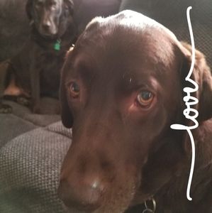 Meet your Posher, Barb